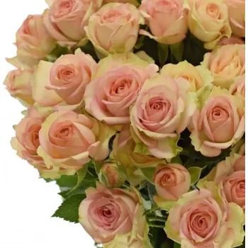 umělá květina Růžová růže trsová TR AZORE 40cm/4+