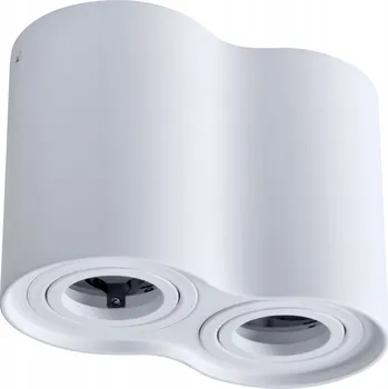 Bodové svítidlo Goldlux přisazené kulaté nastavitelné svítidlo LOFT HADAR R2 2xGU10 bílé 313157