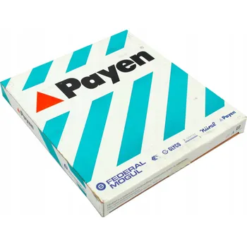 Těsnění výfuku Těsnění, výfukové trubka Payen JE119