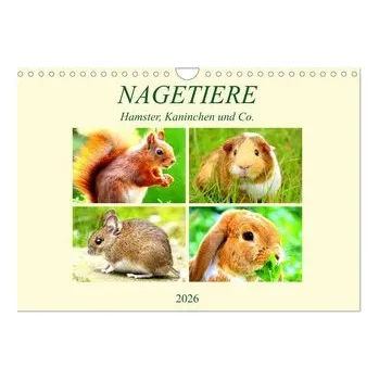 Cestování Nagetiere. Hamster, Kaninchen und Co. (Wandkalender 2026 DIN A4 quer), CALVENDO Monatskalender - Hurley, Rose