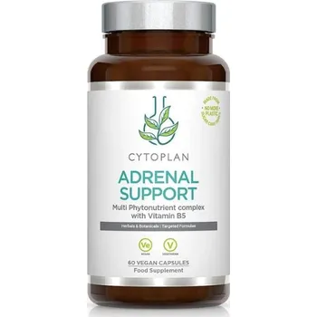 Speciální výživa Cytoplan Adrenal support komplex pro nadledviny, 60 vegan kapslí>