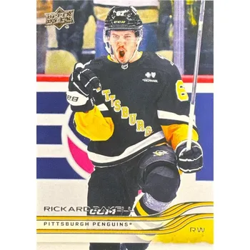 Sběratelská karetní hra řadová karta RICKARD RAKELL 25-26 UD Ser. 1 číslo 135