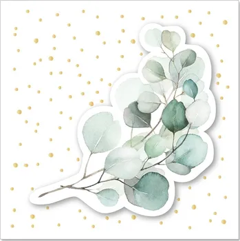 Artebene Malé přání s obálkou 8x8cm s motivem eukalyptu