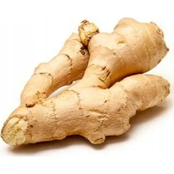 Koření Zázvor čerstvý Nakupovánídomku 1 kg