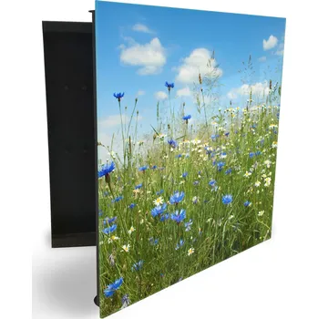 Skříňka na klíč Glasdekor skříňka na klíče - letní louka chrpy a kopretiny Otevírání: Pravé, Barva skříňky: Bílá