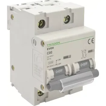 Jistič Tracon EVOH2100 Výkonový jistič, 2-pólový, char.C, 100A, 2P,10kA (Tracon EVOH2100)