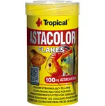 Tropical Discus Astacolor