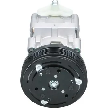 Kompresor klimatizace Kompresor, klimatizace BV PSH 090.595.006.020