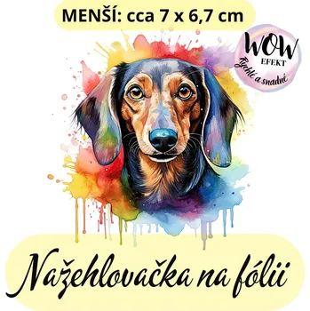 Nažehlovačky na fólii Nažehlovačka na fólii, JEZEVČÍK - V BARVÁCH, 1 kus Zvolte VELIKOST motivu ZDE:: Menší