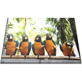 Kuchyňské prkénko Glasdekor Krájecí podložka papoušek ara ararauna s banánem Prkénko: 30x20cm