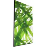 Glasdekor Nástěnné hodiny 30x60cm detail listí trávy Materiál: plexi