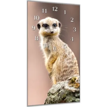 Hodiny Glasdekor Nástěnné hodiny 30x60cm surikata na kameni Materiál: plexi