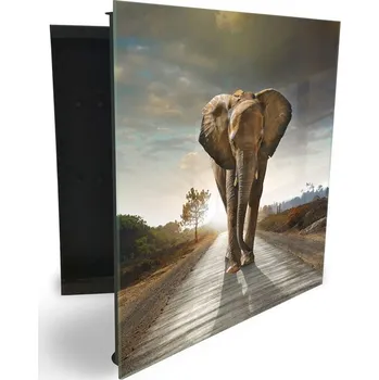 Skříňka na klíč Glasdekor skříňka na klíče dekor - slon Otevírání: Levé, Barva skříňky: Bílá