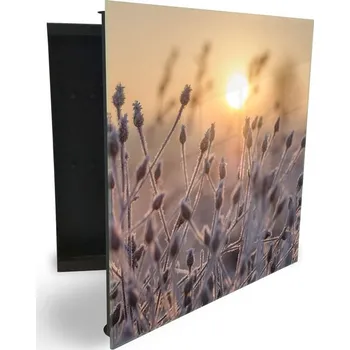 Skříňka na klíč Glasdekor skříňka na klíče - zmrzlá tráva v ranním slunci Otevírání: Levé, Barva skříňky: Bílá