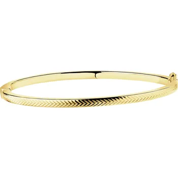 Náramek Zlatý náramek - AP543-2089