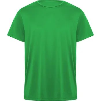 Chlapecké tričko ROLY Dětské sportovní tričko Daytona Velikost: 12, Barva: zelené kapradí (226)
