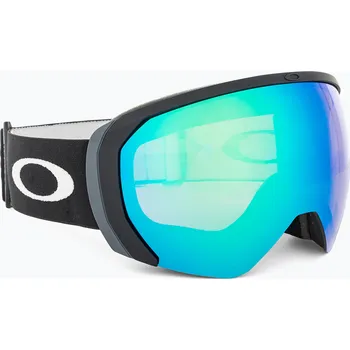 Sjezdové lyžování Lyžařské brýle Oakley Flight Path L matte black/prizm argon