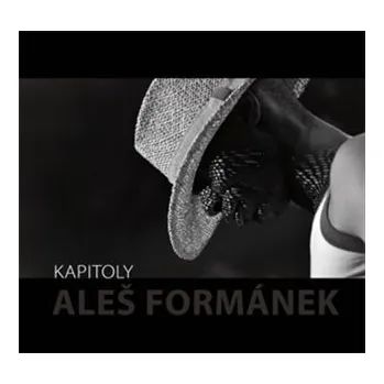 Umění Kapitoly vázaná Aleš Formánek