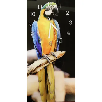 Hodiny Glasdekor Nástěnné hodiny papoušek ara 30x60cm Materiál: plexi