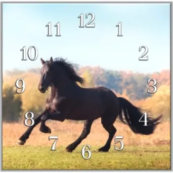 Hodiny Glasdekor Nástěnné hodiny 30x30cm klusající Fríský kůň Materiál: plexi