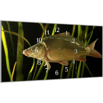 Hodiny Glasdekor Nástěnné hodiny 30x60cm ryba kapr lysec Materiál: plexi
