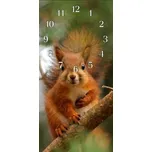 Glasdekor Nástěnné hodiny veverka 30x60cm Materiál: plexi