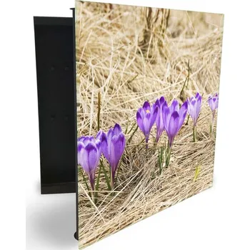 Skříňka na klíč Glasdekor skříňka na klíče - květy fialové krokusy v suché trávě Otevírání: Levé, Barva skříňky: Bílá