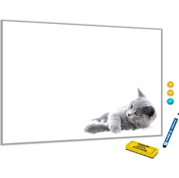 Glasdekor Metalová magnetická tabule - kočka britská Rozměr V/Š: 40 x 60 cm