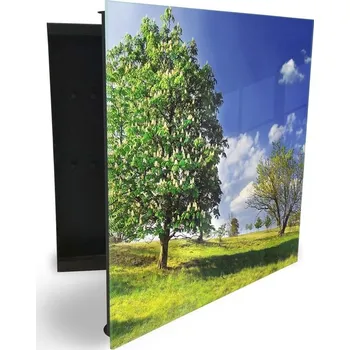 Skříňka na klíč Glasdekor skříňka na klíče - jarní louka stromy Otevírání: Pravé, Barva skříňky: Bílá