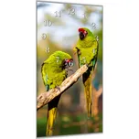 Glasdekor Nástěnné hodiny 30x60cm papoušek ara vojenský Materiál: plexi