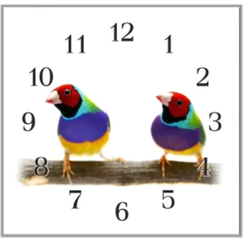 Hodiny Glasdekor Nástěnné hodiny 30x30cm papoušek amada gulda Materiál: plexi