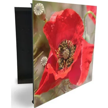 Skříňka na klíč Glasdekor skříňka na klíče - detail červený květ vlčí mák Otevírání: Levé, Barva skříňky: Bílá