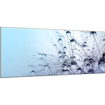 Obraz Glasdekor Obraz skleněný modré chmýří pampelišky s rosou Rozměry-obdélník V/Š: 30 x 60 cm