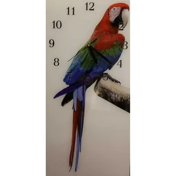 Hodiny Glasdekor Nástěnné hodiny velký papoušek 30x60cm Materiál: plexi