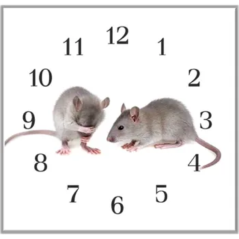 Hodiny Glasdekor Nástěnné hodiny 30x30cm malé myši Materiál: plexi