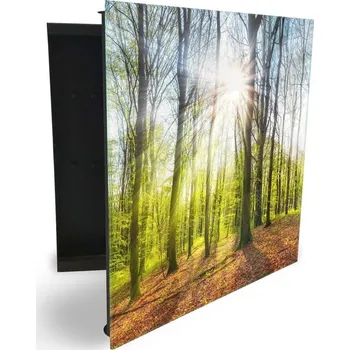 Skříňka na klíč Glasdekor skříňka na klíče - jarní les při východu slunce Otevírání: Pravé, Barva skříňky: Bílá