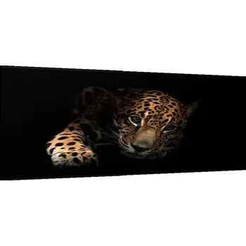 Obraz Glasdekor Obraz skleněný portrét ležící leopard Rozměry-obdélník V/Š: 30 x 40 cm
