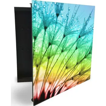 Železářství Glasdekor skříňka na klíče - orosená pampeliška v duze Otevírání: Levé, Barva skříňky: Černá