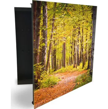 Skříňka na klíč Glasdekor skříňka na klíče - pěšina v lese Otevírání: Levé, Barva skříňky: Černá