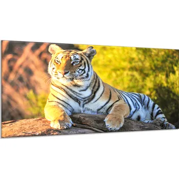 Obraz Glasdekor Obraz skleněný zlatý tygr na kameni Rozměry-obdélník V/Š: 30 x 60 cm