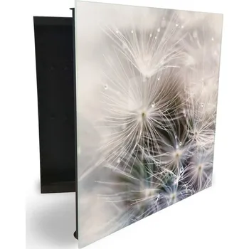 Skříňka na klíč Glasdekor skříňka na klíče - abstraktní odkvetlá pampeliška Otevírání: Levé, Barva skříňky: Bílá