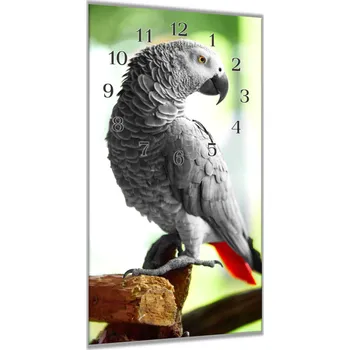 Hodiny Glasdekor Nástěnné hodiny 30x60cm načepýřený papoušek žako Materiál: plexi
