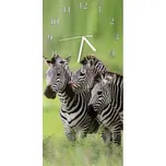 Glasdekor Nástěnné hodiny zebra 30x60cm Materiál: plexi