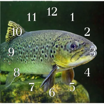 Hodiny Glasdekor Nástěnné hodiny 30x30cm ryba pstruh Materiál: plexi