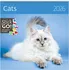 Kalendář Helma365 Nástěnný kalendář Cats 2026