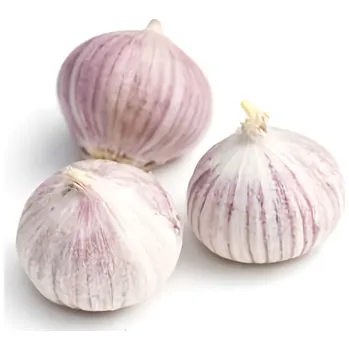 Zelenina Česnek jednostroužkový 240g