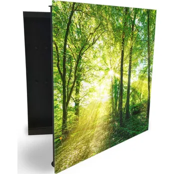 Skříňka na klíč Glasdekor skříňka na klíče - krásně zelený les a slunce Otevírání: Pravé, Barva skříňky: Bílá