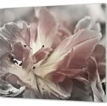 Glasdekor Ochranná deska abstraktní šedý tulipán Rozměr V/Š: 52x60 cm, Lepení na zeď: S lepením na zeď