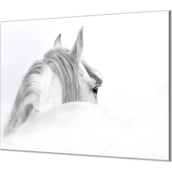 Kuchyňské prkénko Glasdekor Ochranná deska silueta andaluského koně Rozměr V/Š: 50x70 cm, Lepení na zeď: Bez lepení na zeď