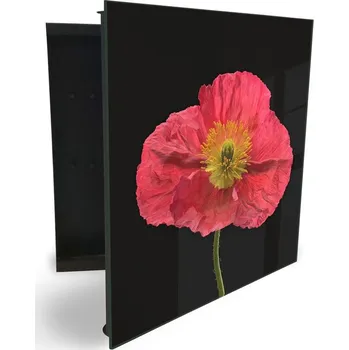 Skříňka na klíč Glasdekor skříňka na klíče - vlčí mák na černém pozadí Otevírání: Pravé, Barva skříňky: Černá